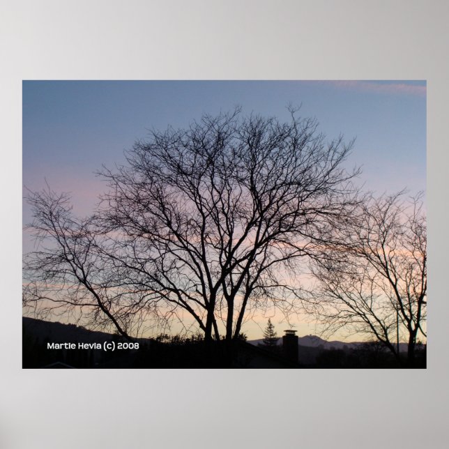 Bare Tree at Dusk Poster (Front)