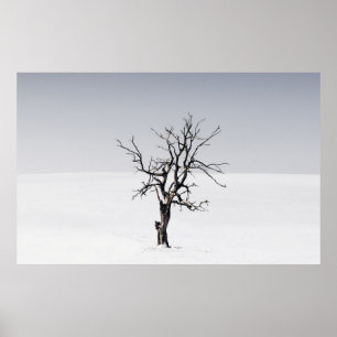 BARE TREE IN THE MIDDLE OF SNOW POSTER
