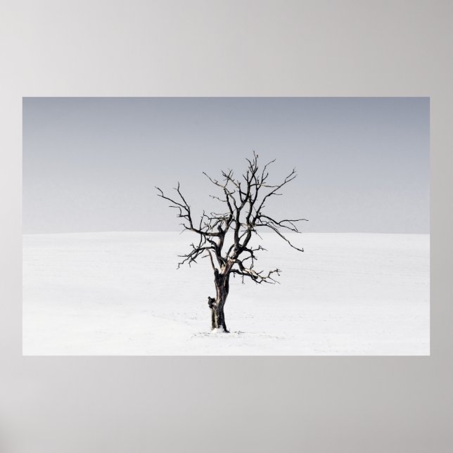 BARE TREE IN THE MIDDLE OF SNOW POSTER (Front)