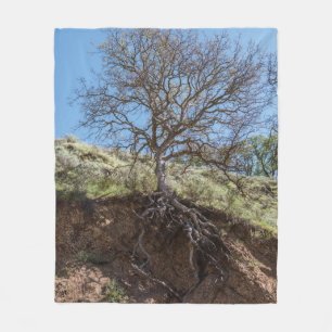Bare tree on mountain during day fleece blanket
