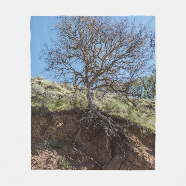 Bare tree on mountain during day fleece blanket (Front)