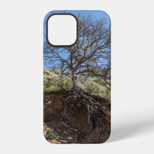 Bare tree on mountain during day iPhone 12 case