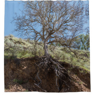 Bare tree on mountain during day shower curtain