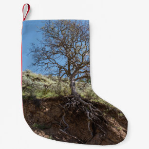 Bare tree on mountain during day small christmas stocking