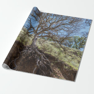 Bare tree on mountain during day wrapping paper