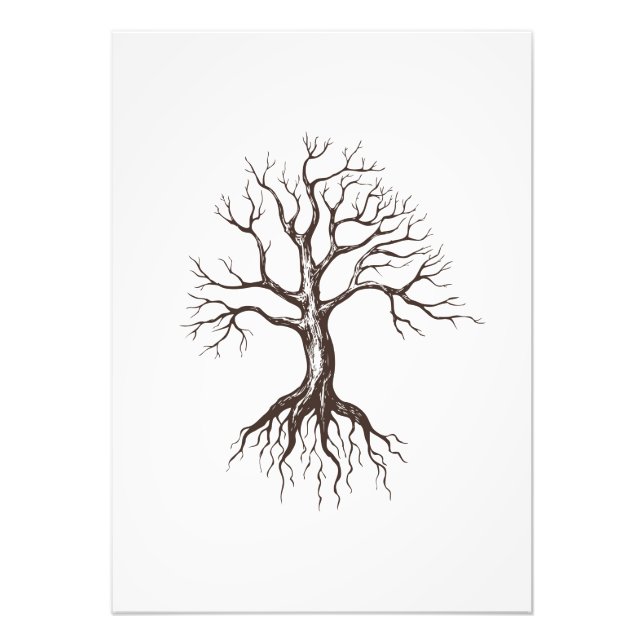 Bare tree photo print (Front)