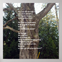 Bare Tree Poem for Arbor Day