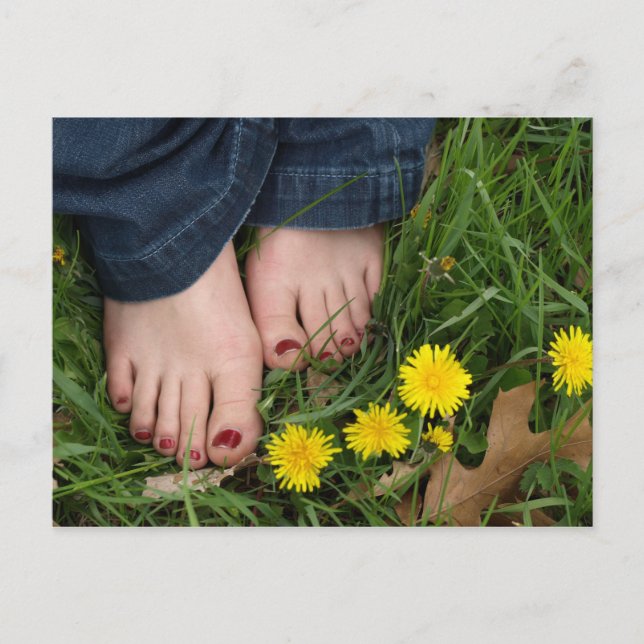 barefeet in the grass postcard (Front)