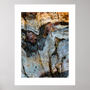 Bark Abstract Poster