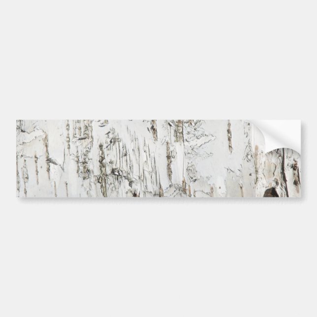BARK BIRCH BUMPER STICKER (Front)