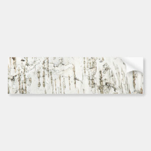 BARK BIRCH BUMPER STICKER