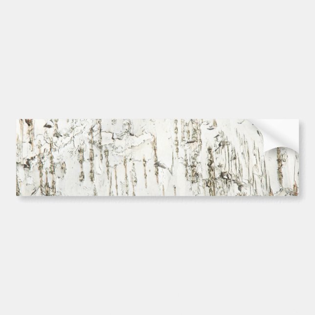 BARK BIRCH BUMPER STICKER (Front)