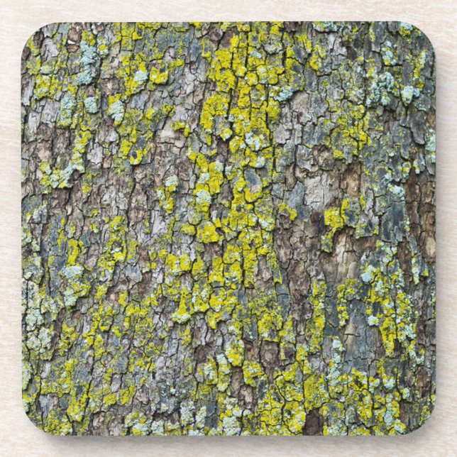 Bark Coaster (Front)
