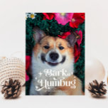 BARK HUMBUG  Funny Dog Christmas  Holiday Card<br><div class="desc">Cute and funny Christmas holiday photo template card for dog owners featuring a retro typography text at the top that says "bark humbug" with your dog photo.</div>