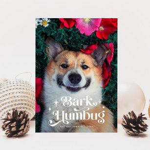 BARK HUMBUG  Funny Dog Christmas  Holiday Card