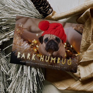 Bark Humbug   Pet Photo Foil Holiday Card
