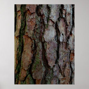 Bark of a Georgia Pine Poster
