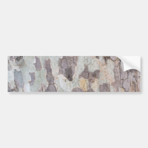 Bark of plane tree bumper sticker