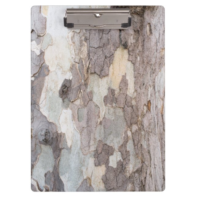 Bark of plane tree clipboard (Front)