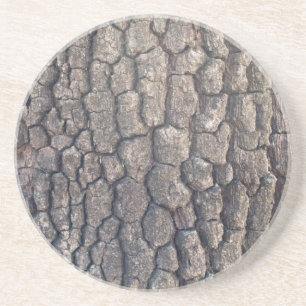 Bark of plane tree coaster