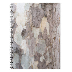 Bark of plane tree notebook