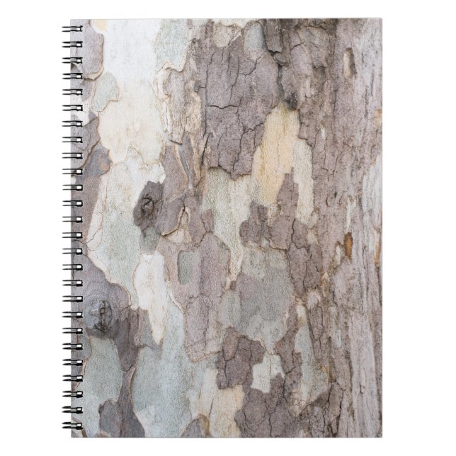 Bark of plane tree notebook (Front)