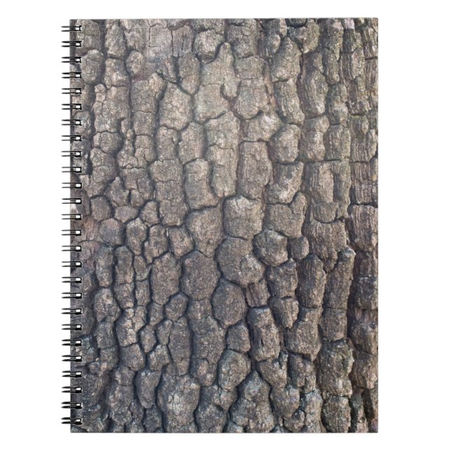 Bark of plane tree notebook (Front)