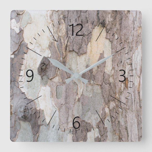 Bark of plane tree square wall clock (Front)