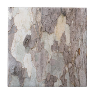 Bark of plane tree tile