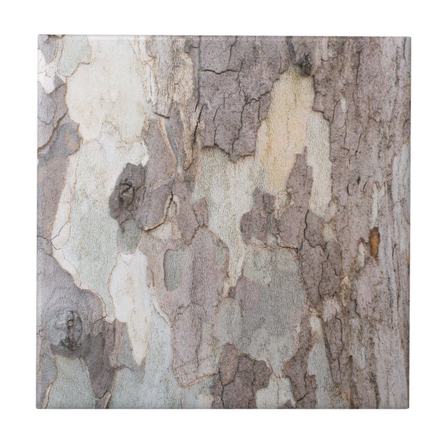 Bark of plane tree tile (Front)