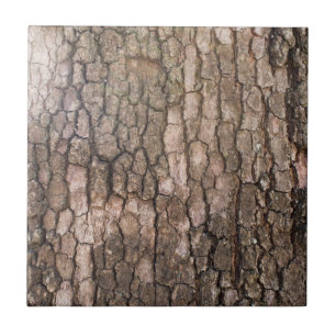 Bark of plane tree tile
