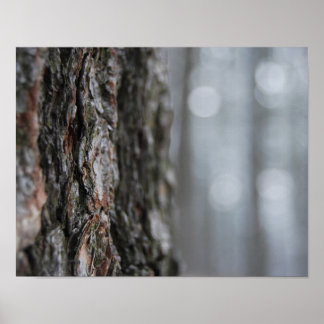 Bark of the Tree Poster