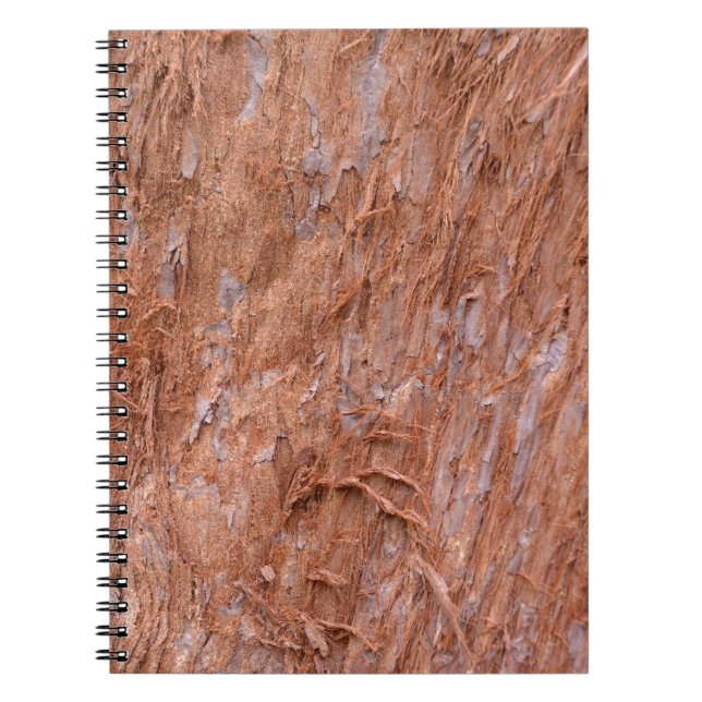 bark of tree in a forest notebook (Front)