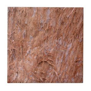 bark of tree in a forest tile