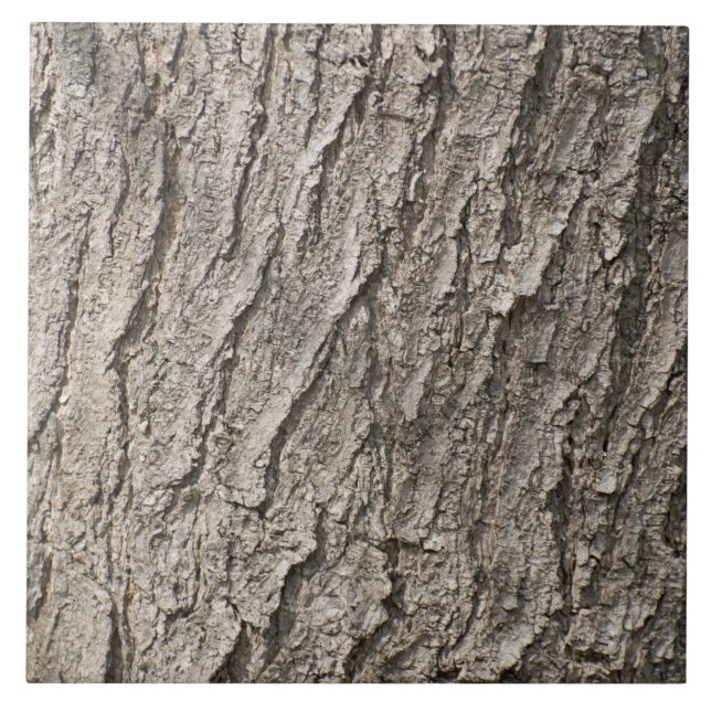 Bark pattern ceramic tile (Front)