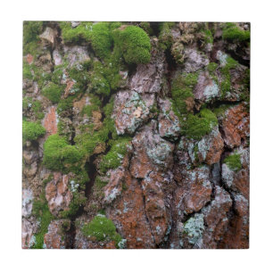 Bark tree ceramic tile
