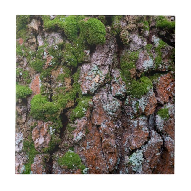 Bark tree ceramic tile (Front)