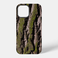 Bark tree oak moss trunk wood