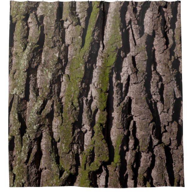 Bark tree oak moss trunk wood shower curtain (Front)