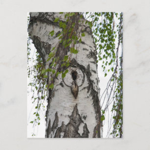 BARK TREE POSTCARD