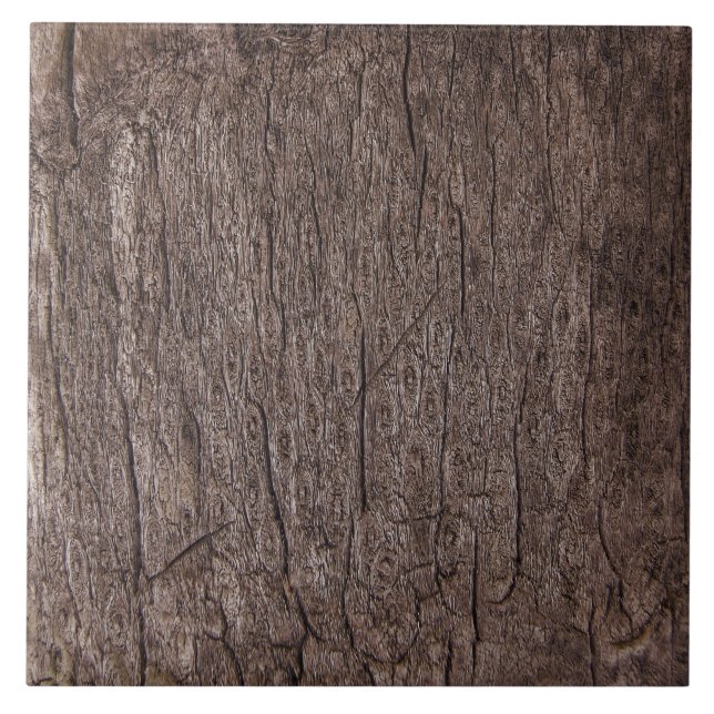 Bark - Warm Brown Weathered Tree Bark Nature Ceramic Tile (Front)