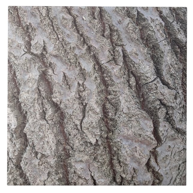 Bark wooden pattern ceramic tile (Front)