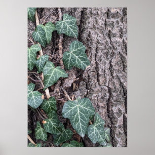 Bark wooden pattern poster