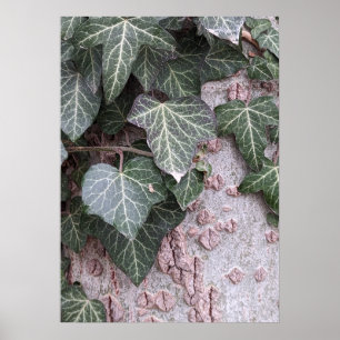 Bark wooden pattern poster