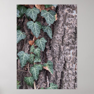 Bark wooden pattern poster
