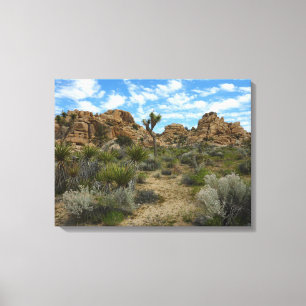 Barker Dam Loop Trail at Joshua Tree National Park Canvas Print