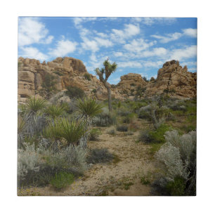Barker Dam Loop Trail at Joshua Tree National Park Ceramic Tile