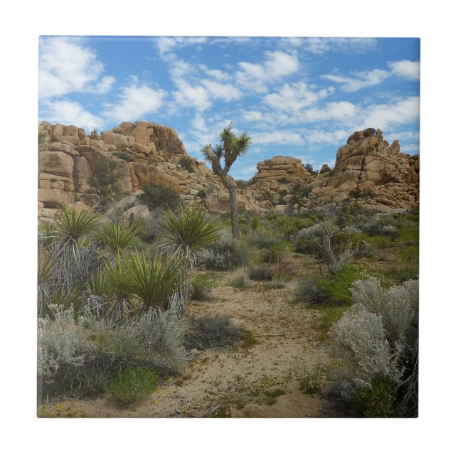 Barker Dam Loop Trail at Joshua Tree National Park Ceramic Tile (Front)