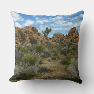 Barker Dam Loop Trail at Joshua Tree National Park Cushion
