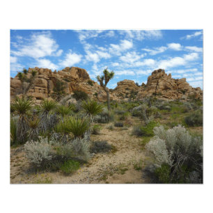 Barker Dam Loop Trail at Joshua Tree National Park Photo Print